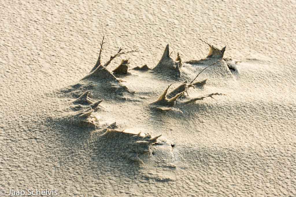 Zandsculpturen, sand sculptures