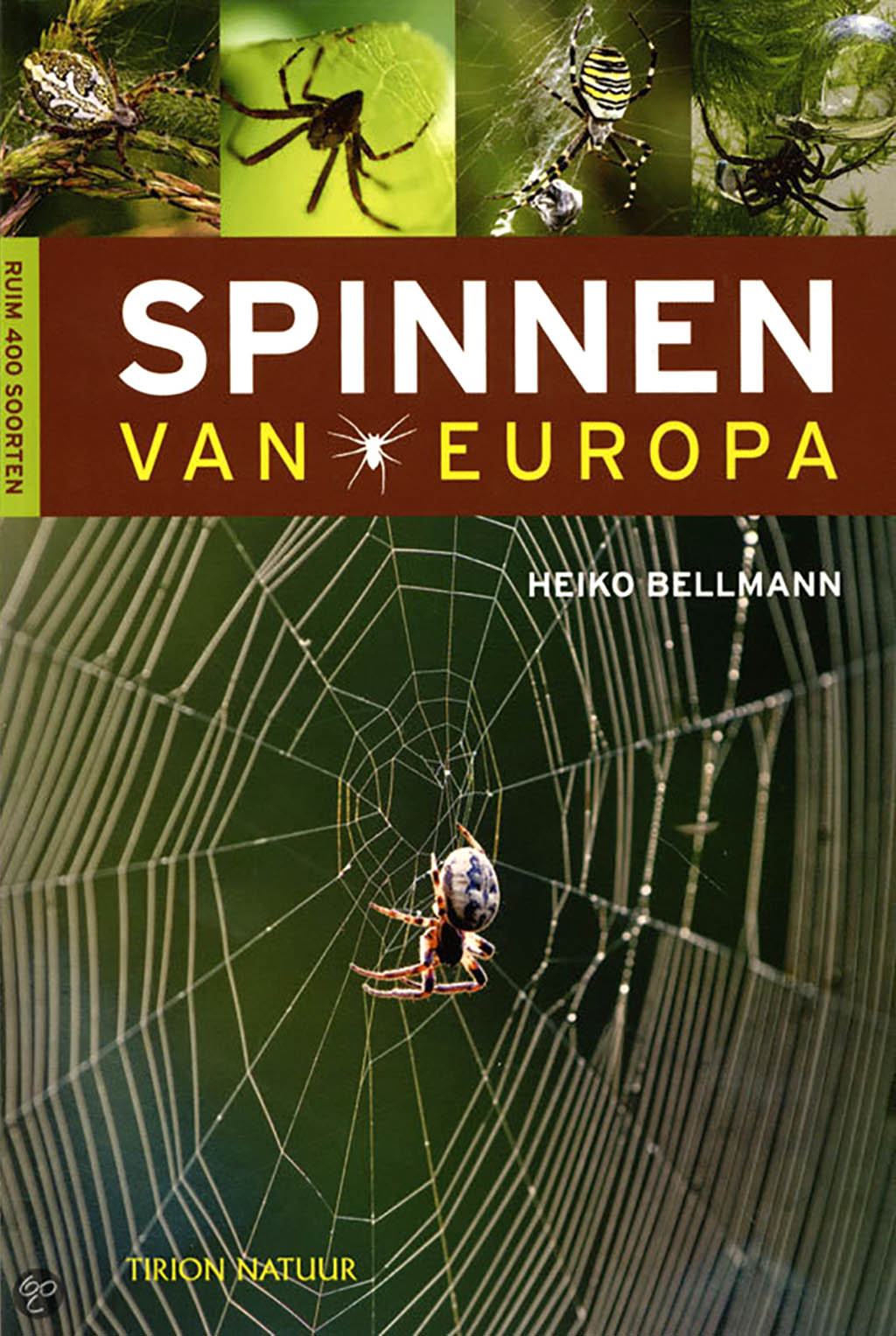 spinnen_van_europa
