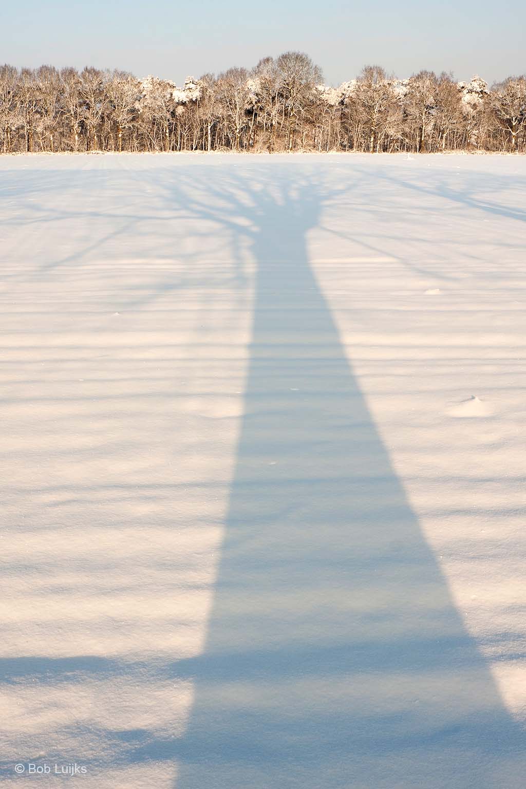 Door de laagstaande zon krijg je enorm lange schaduwen, die zich prachtig aftekenen op het sneeuwtapijt.