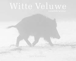 Witte Veluwe Jan Vermeer