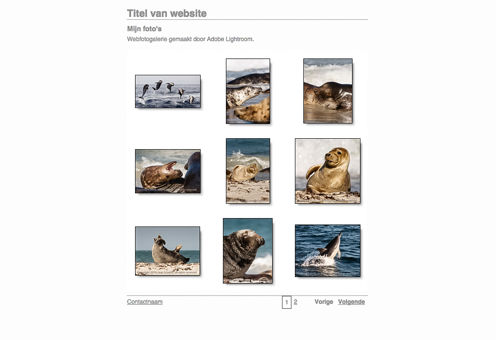 Zelfs zonder iets in te stellen geeft de knop 'Voorvertoning in browser...' al een indruk hoe een willekeurige set foto's er op een eigen webgalerie uit kan komen te zien.