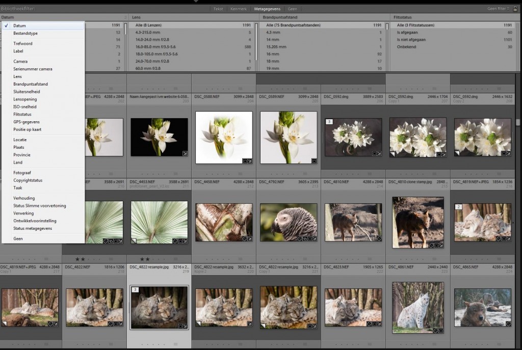 Je kunt snel je foto’s in de bibliotheek van Lightroom filteren op metagegevens met de sneltoets \ (backslash).