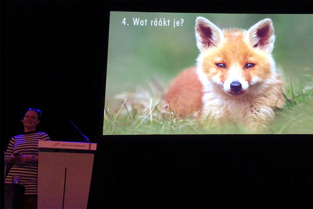 Presentatie Roeselien Raimond - What Does the Fox Say