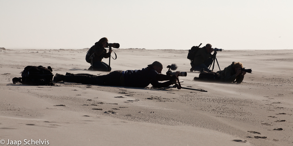 Natuurfotografen op het strand van Helgoland; Wildlife photographers at the beach of Helgoland.