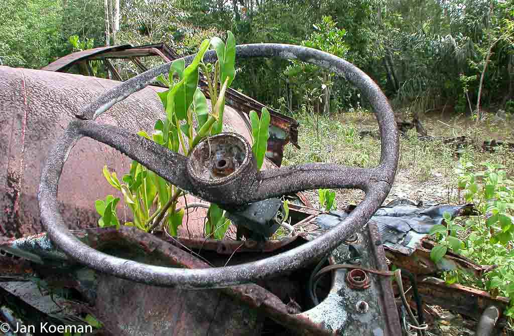 Jungle stuur Suriname