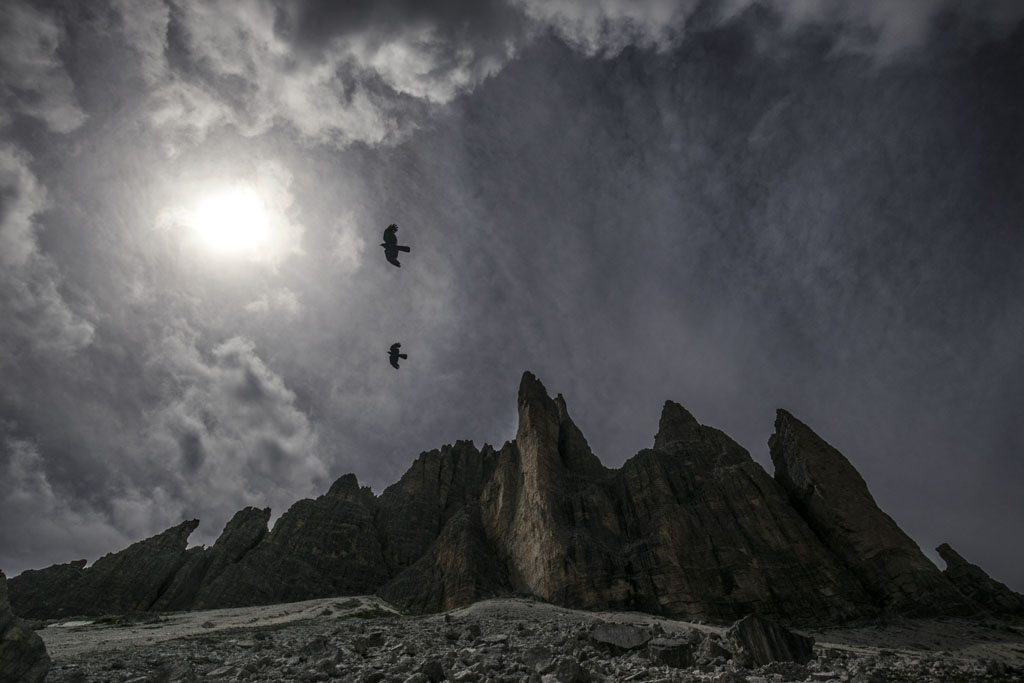 Alpenkauwen vliegen rondom de toppen van de Dolomieten
