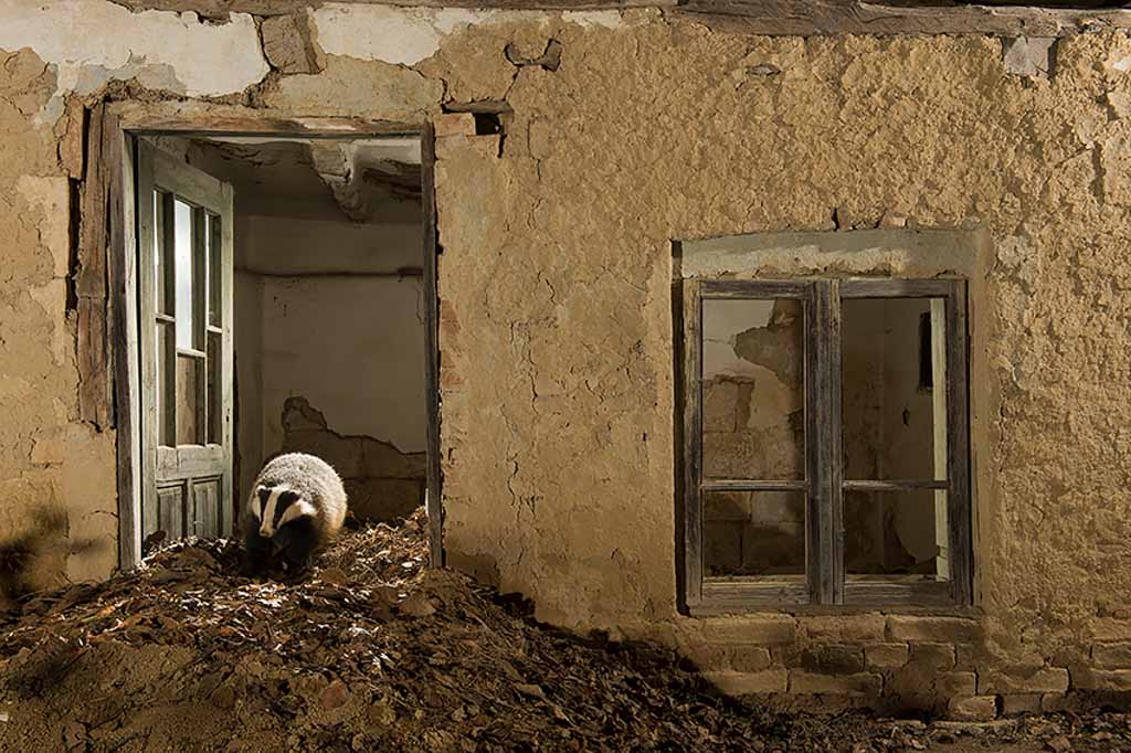 Das in een verlaten huis te Bulgarije. 