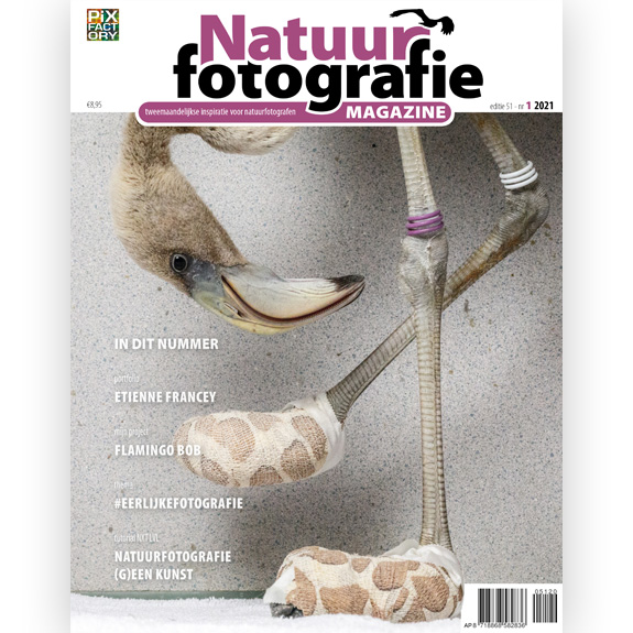 Natuurfotografie Magazine Flamingo Bob
