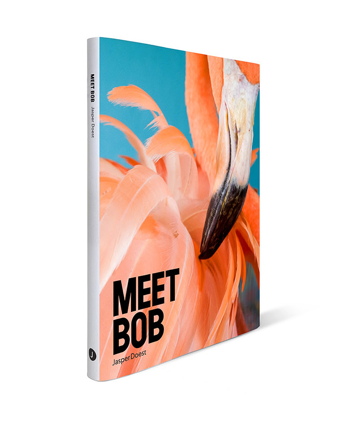 Boek Meet Bob