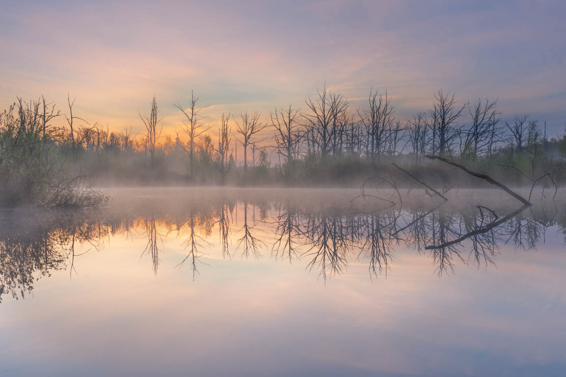 Mist at the Lake