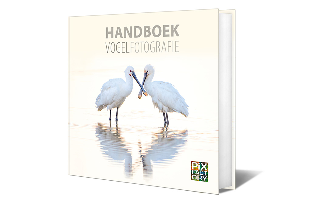Handboek vogelfotografie