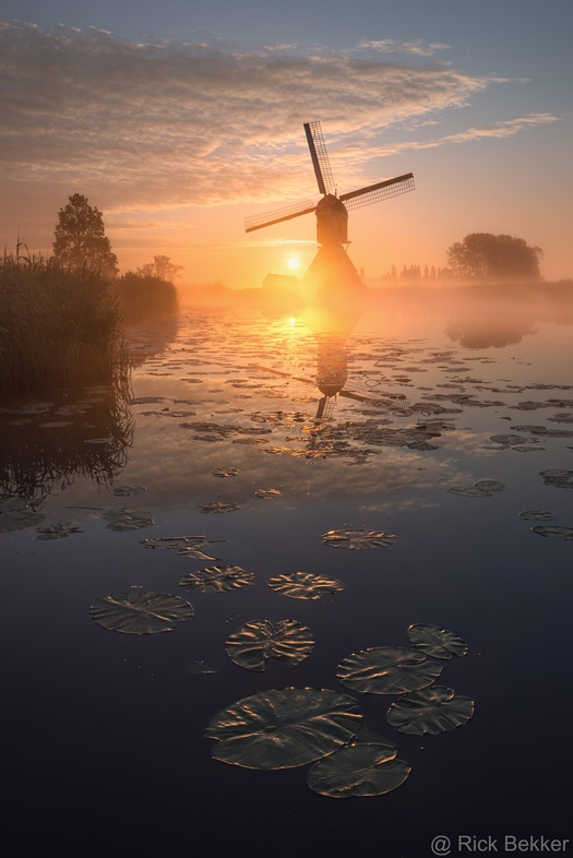 De pracht van het Nederlandse landschap, gezien bij een van de vele molens die ons land rijk is